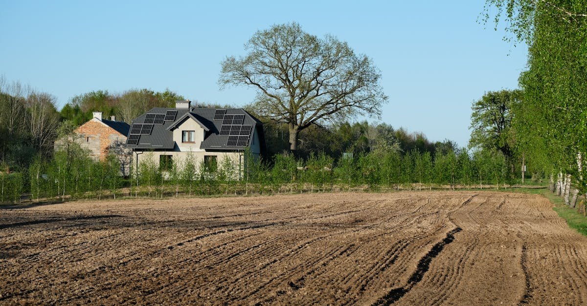 Zamiast szamba — domowa oczyszczalnia z drenażem: prosto, ekologicznie, opłacalnie