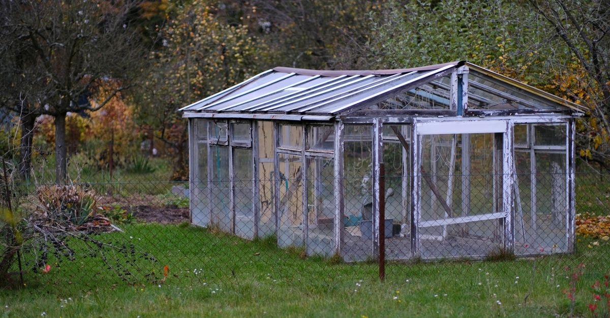 Z odzysku do urodzaju: postaw szklarnię, która nie zrujnuje portfela